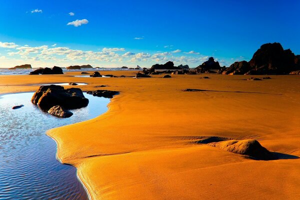 Landscape sandy stone shore