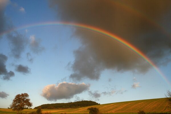 A rainbow in a blue sky with gray clouds rose over an autumn field and trees