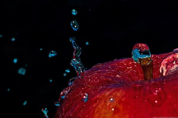 Gesättigter Apfel mit Wassertropfen auf schwarzem Hintergrund