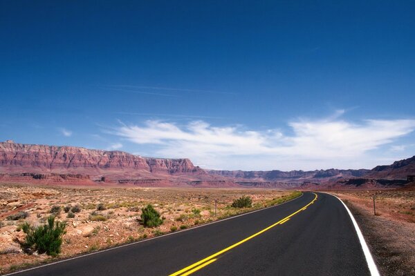 Percorso chiaro tra il deserto