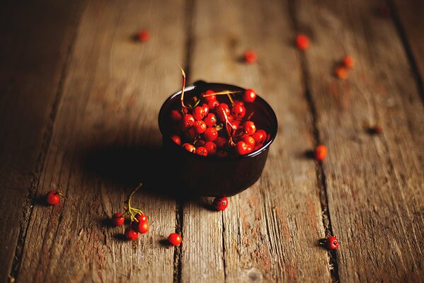 Red rowan berries in a black bowl on a tree