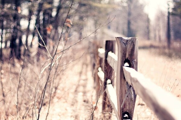 Fence made of wood autumn Weather