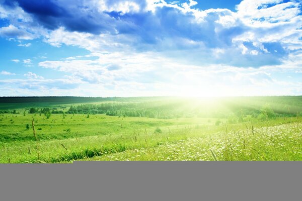 Paesaggio estivo con campo e nuvole