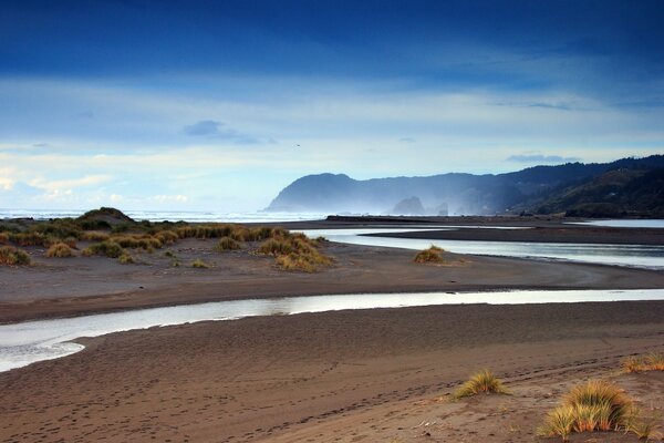 Paisaje playa de arena con arroyo