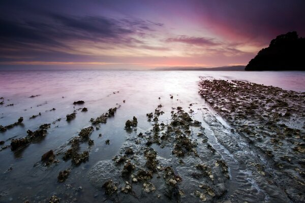 Sea horizon on a rocky shore