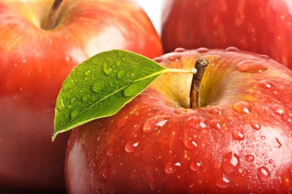 Water drops on a red apple with a leaf