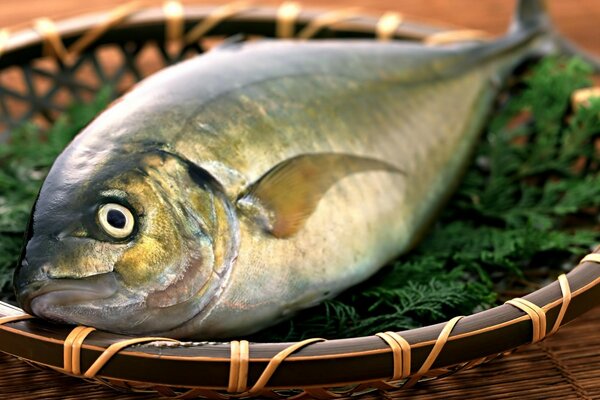 Poisson sur les feuilles vertes herbacées