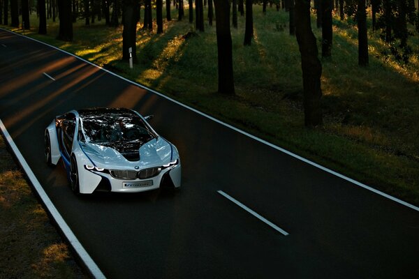 On the highway in the middle of the forest - an unusual tuned boomer, front and top view