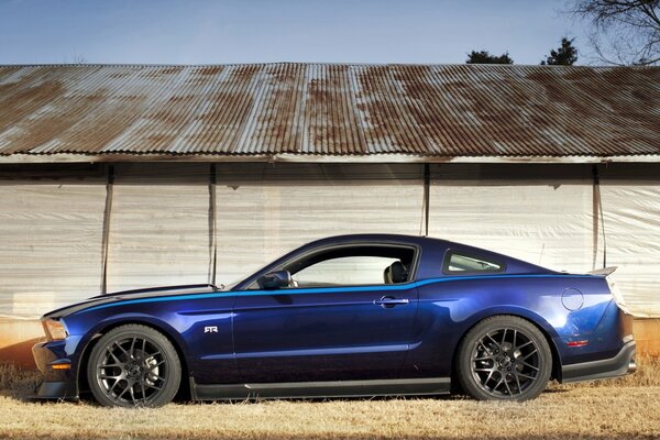 The blue mustang glistens in the sun outside