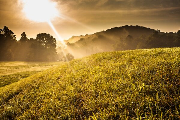 The sun shines on the hills and grass