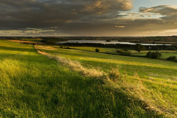 The fields of England. The wind stirs the grass