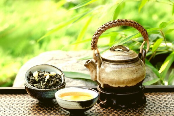 Teapot on a background of juicy greenery