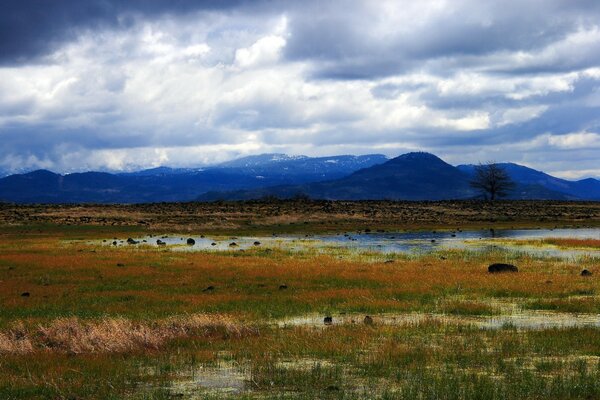 Swampy area with mountain views