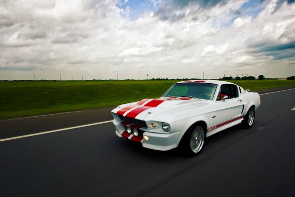 Conduciendo por la carretera a lo largo de los campos bery Mustang Shelby