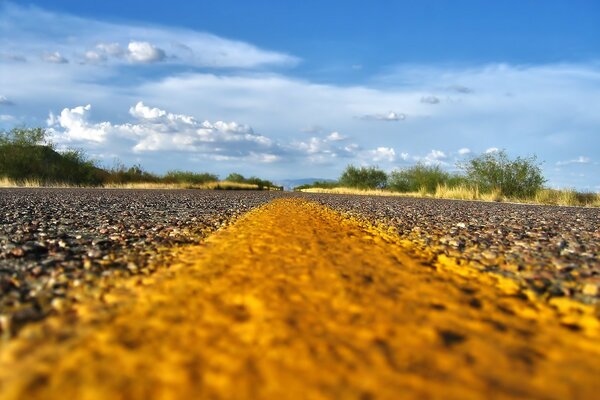 Landscape yellow road markings with a view of the field