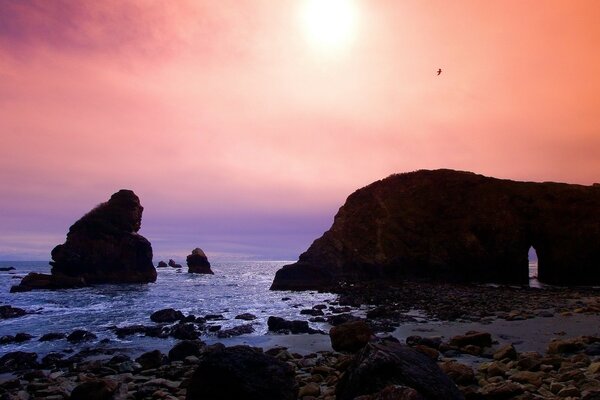 A seagull flies over the rocks in the sea