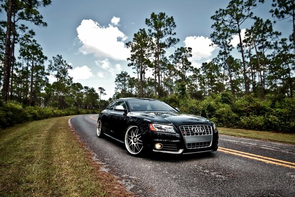 Beautiful black audi in nature