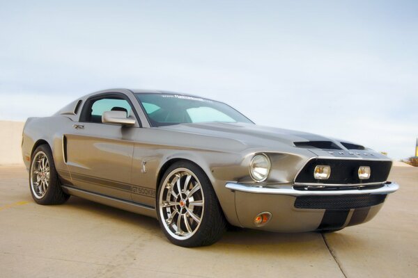 Gris Mustang Shelby primer plano en la carretera