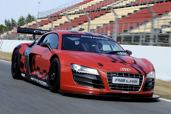 Audi in pista, tribune in trance