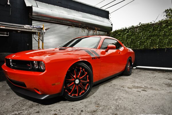 A red tuned car on a gray background