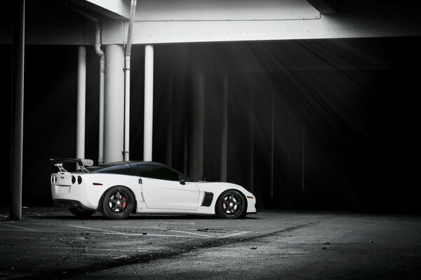 Imagen en blanco y negro. Coche wallpers