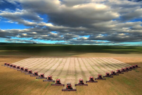 A beautiful field with combine harvesters on the horizon