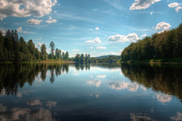 Wolken spiegeln sich im Waldsee wider