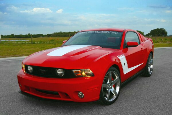 Red Ford Mustang in nature