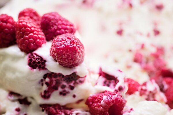 Himbeer-cremiger Eiskuchen