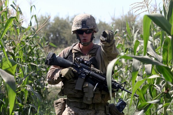 Soldat mit Maschinengewehr auf einem Maisfeld