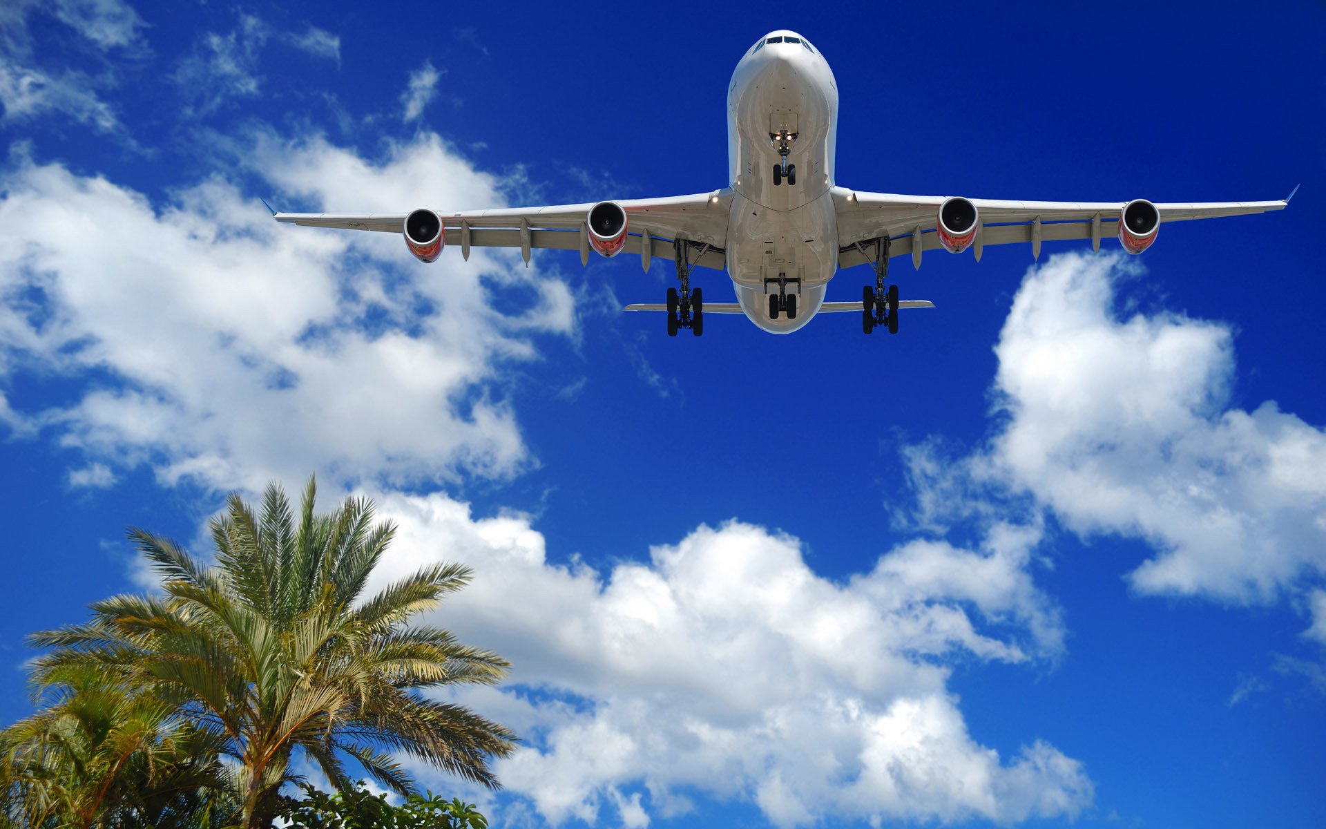 flugzeug himmel liner wolken palmen