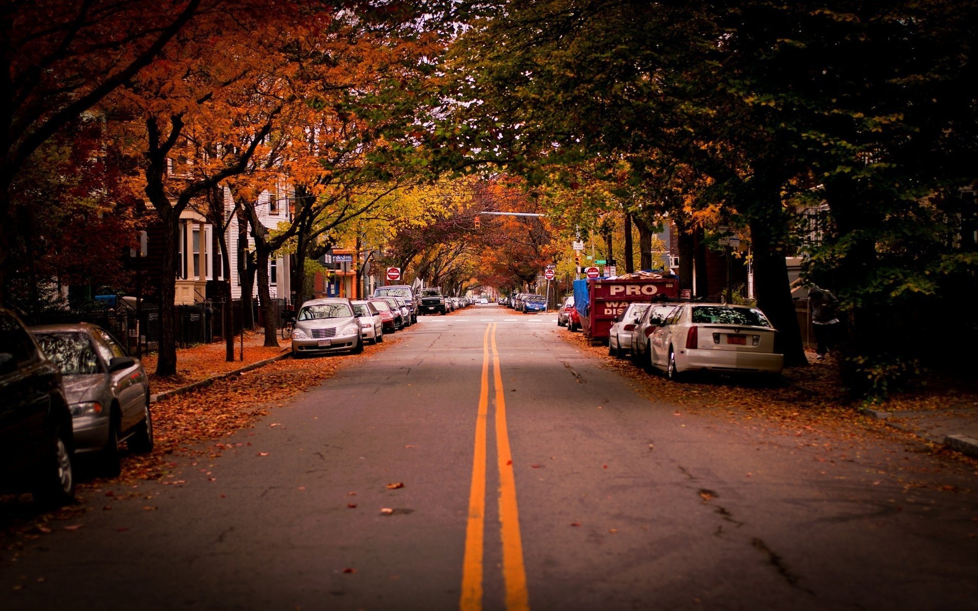 cambridge cambridge alberi automobili usa strada