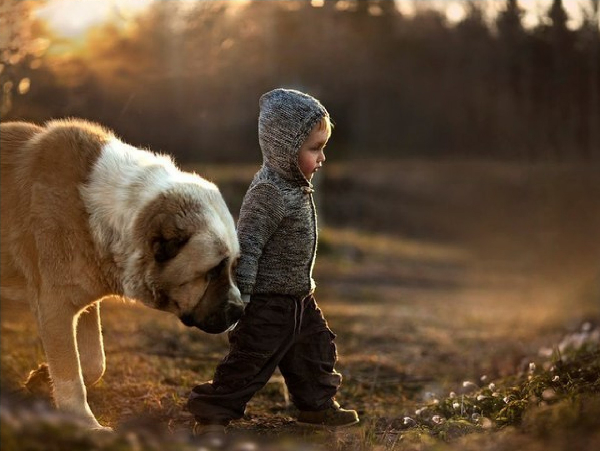 perro niño yura