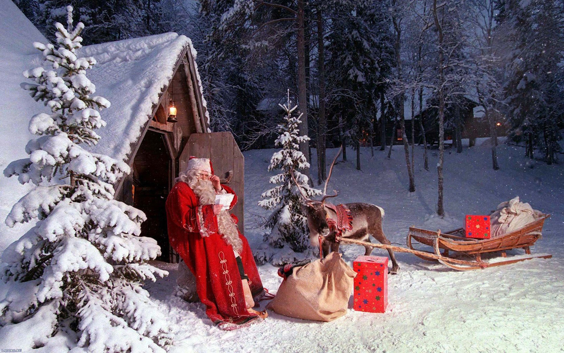 deer christmas winter santa claus new year