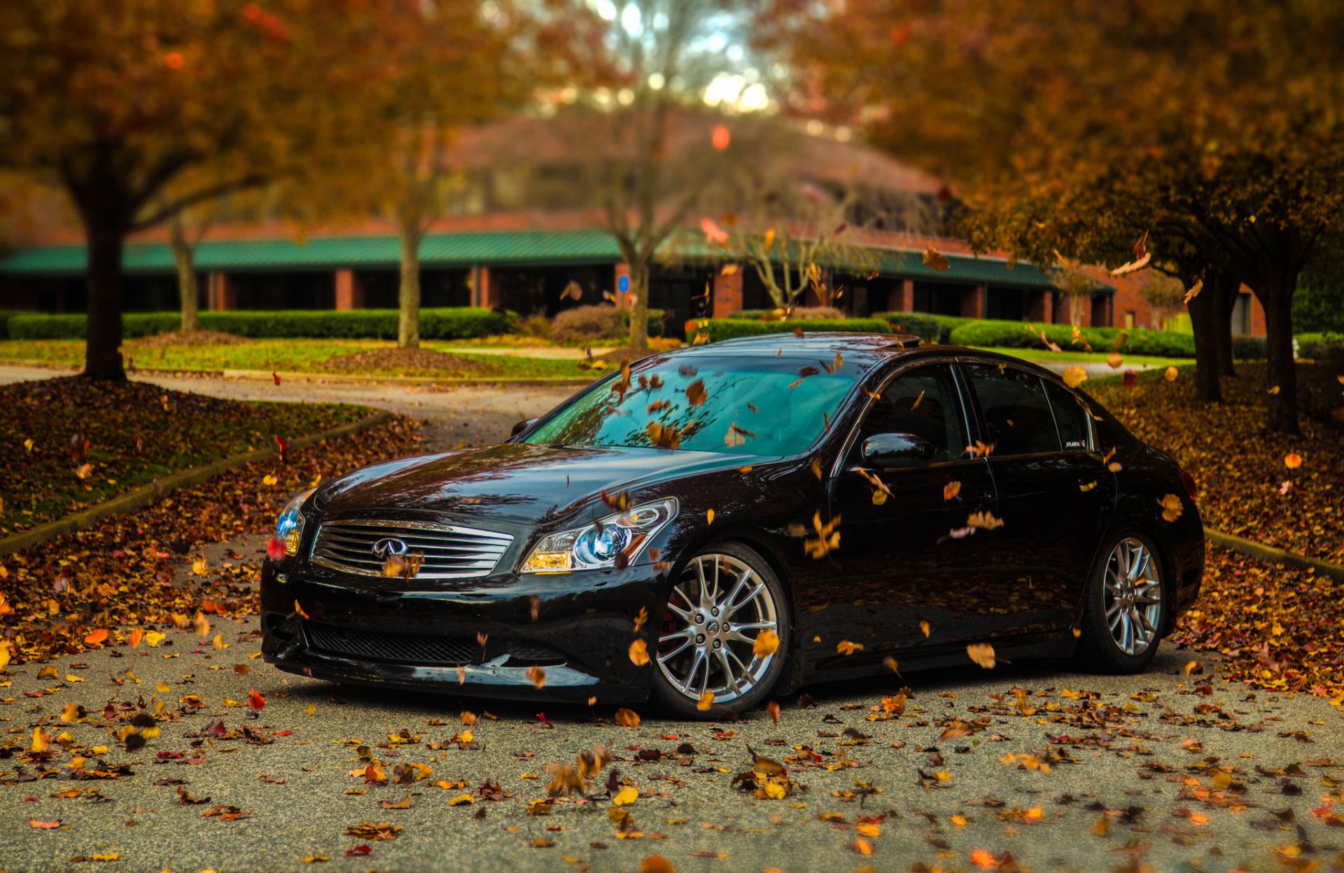 infiniti g35s black tuning infiniti black autumn leave