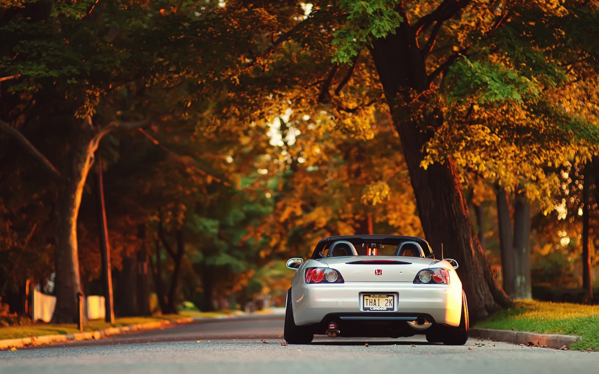 2000 honda parc arbres soleil coucher de soleil