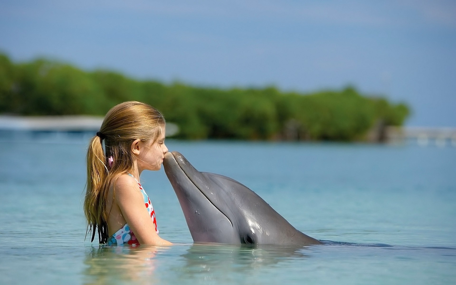 delfino mare oceano bacio ragazza