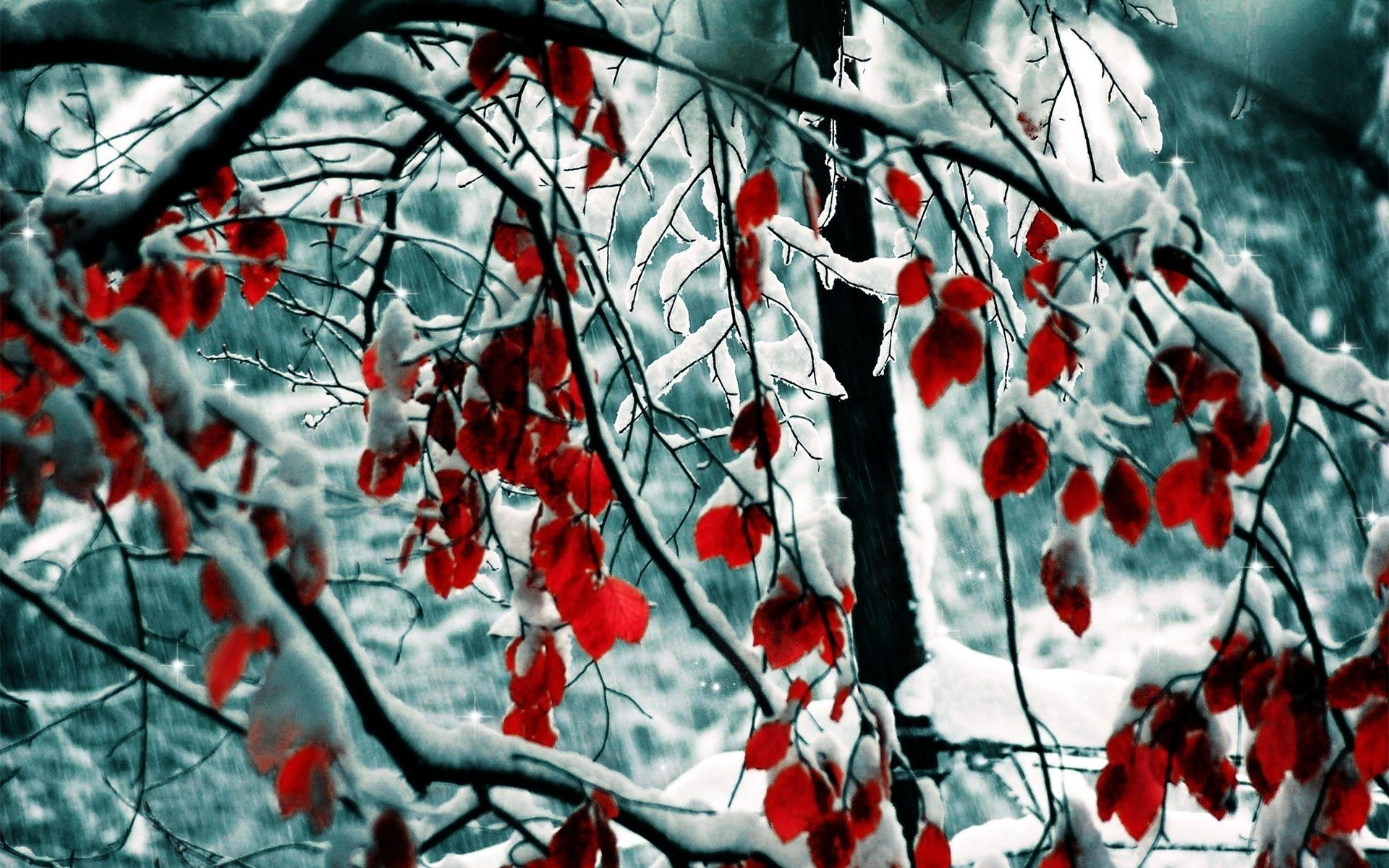 nature winter leaves snow snow nature branches winter tree