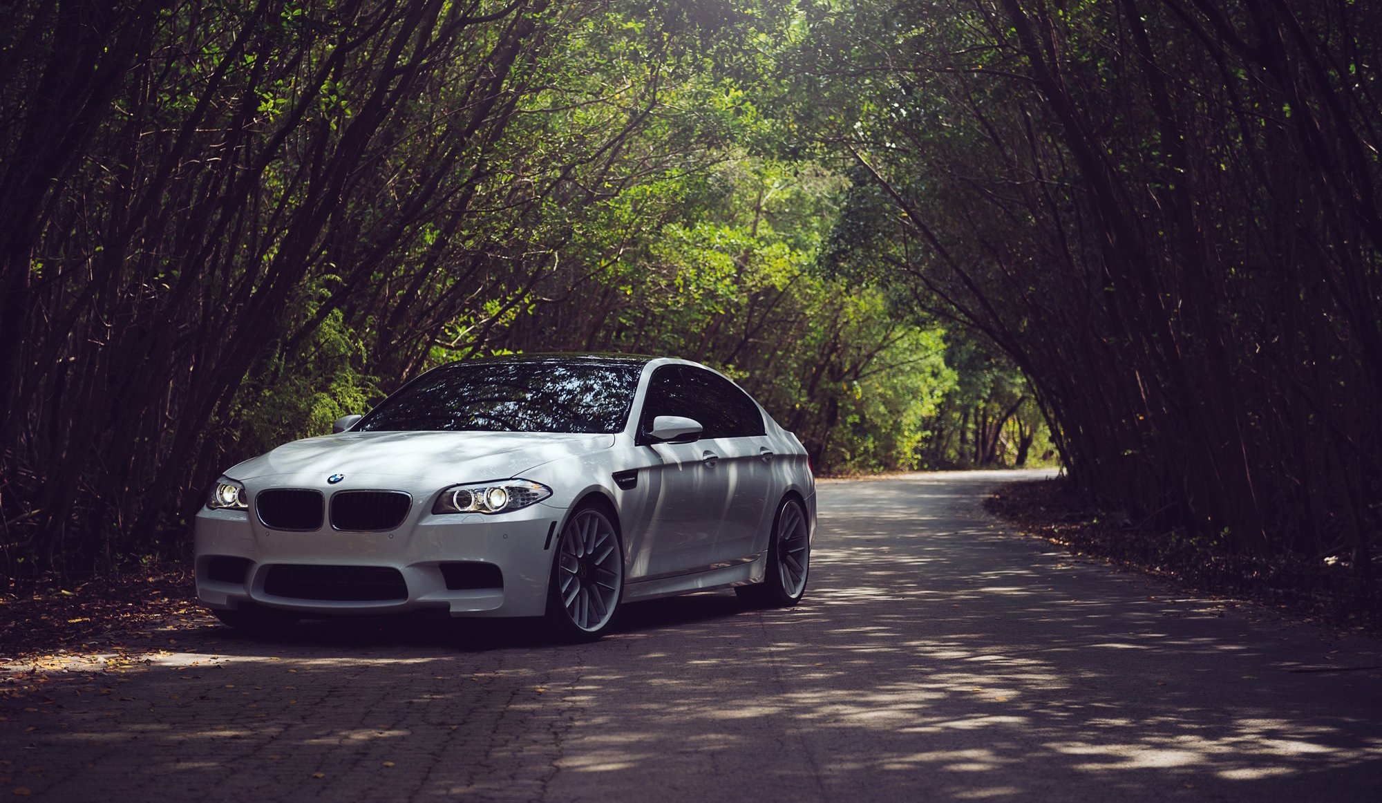 bmw f10 m5 blanc bmw route