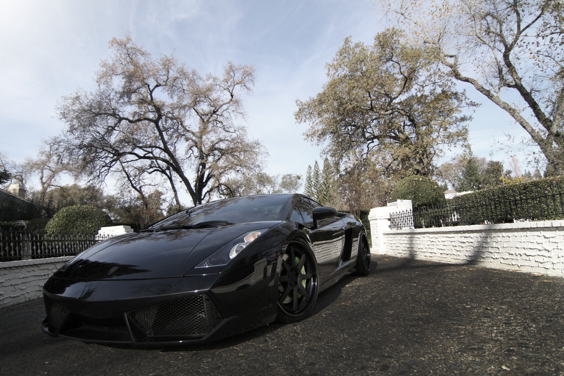 lamborghini gallardo lp540-4 black wheels lamborghini gallardo tinted front reflection trees sky cloud