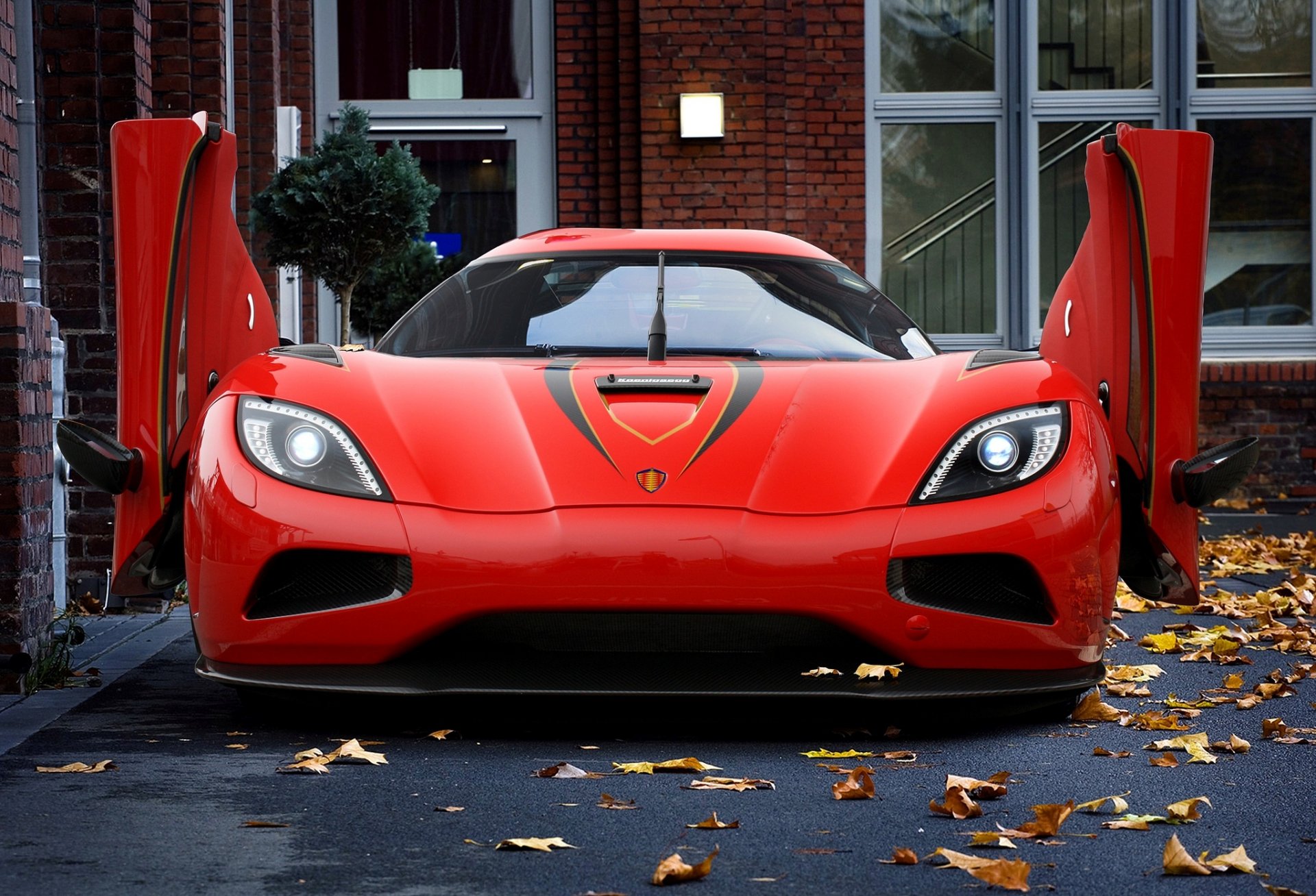 koenigsegg agera r czerwony bestia jesień koenigsegg agera r czerwony liście