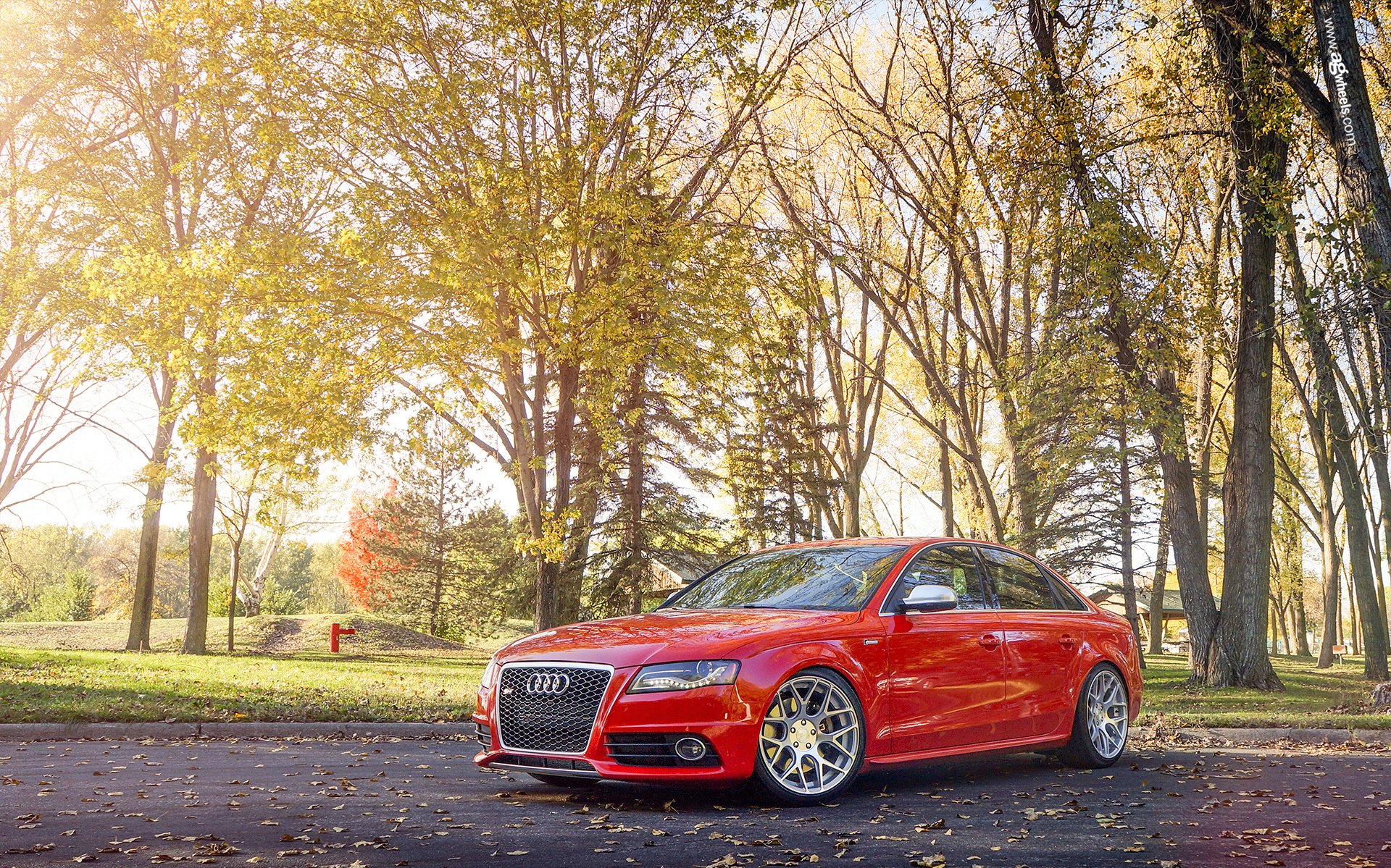 audi s4 red audi red park