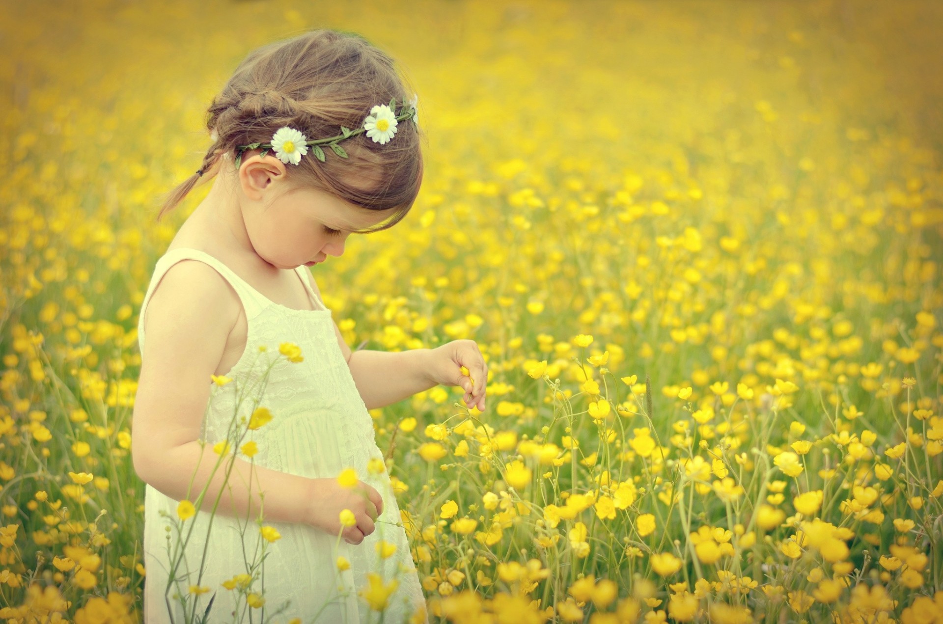 campo umore ragazza fiori