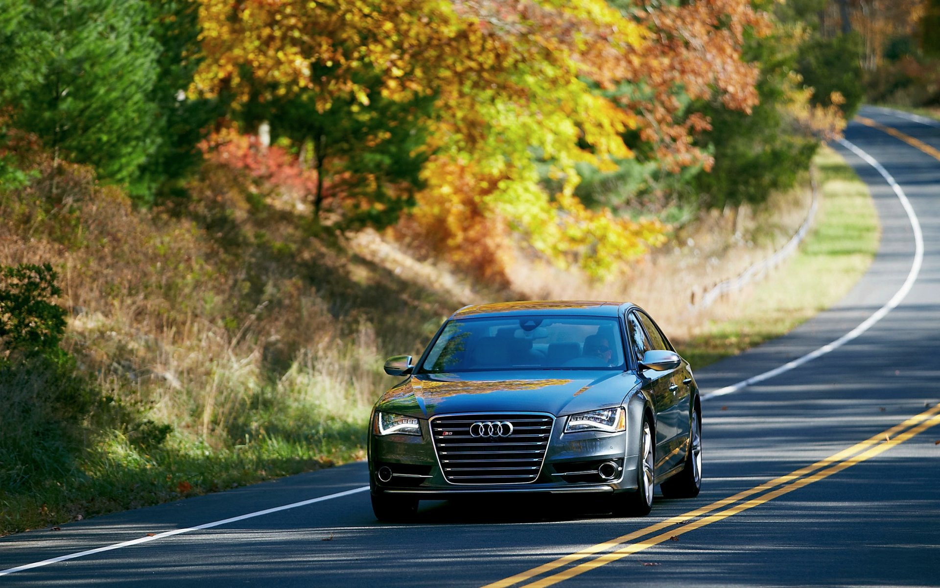 audi s8 auto sedan przód droga drzewa ulica