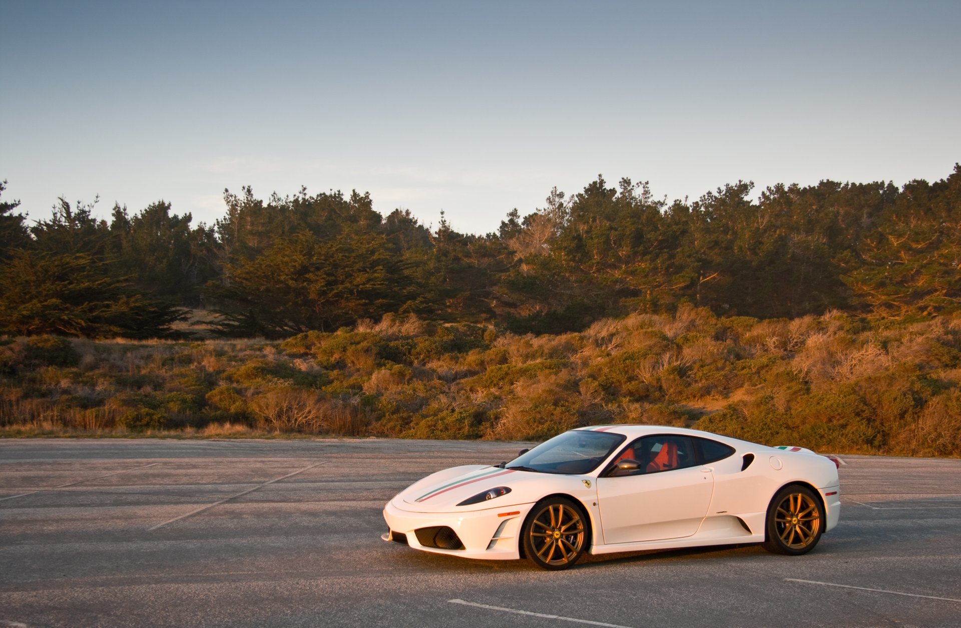 ferrari f430 scuderia bianco ferrari f430 scuderia vista laterale asfalt ombra erba alberi cielo