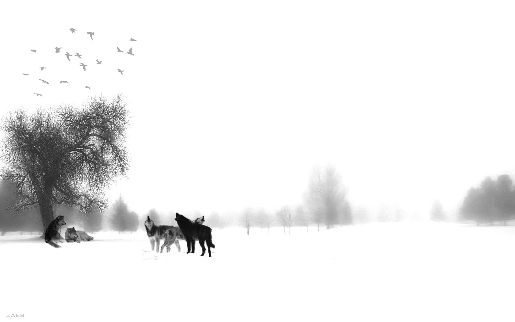 vögel winter wölfe rudel schleier weiß