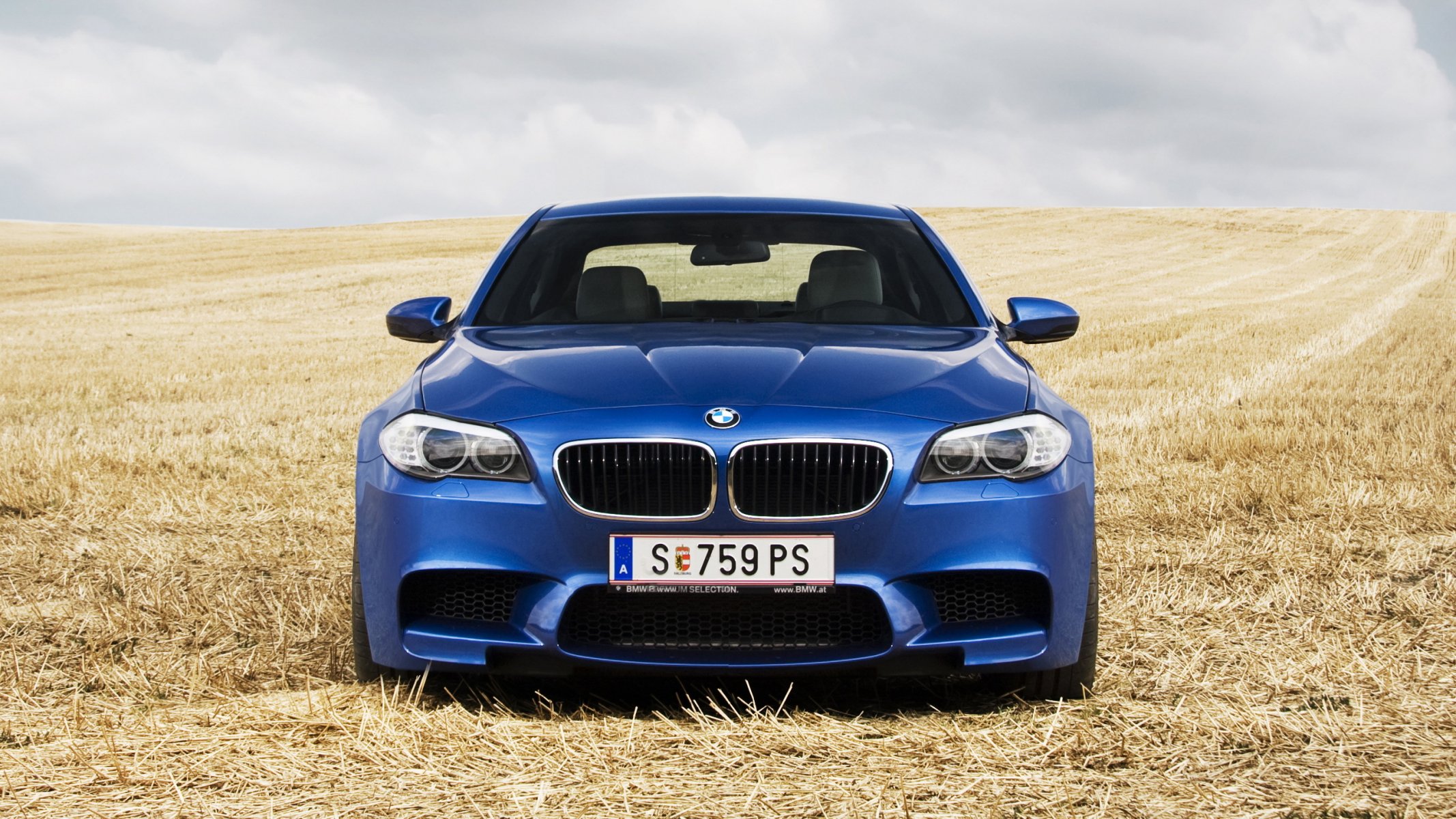 bmw m5 blue front the field