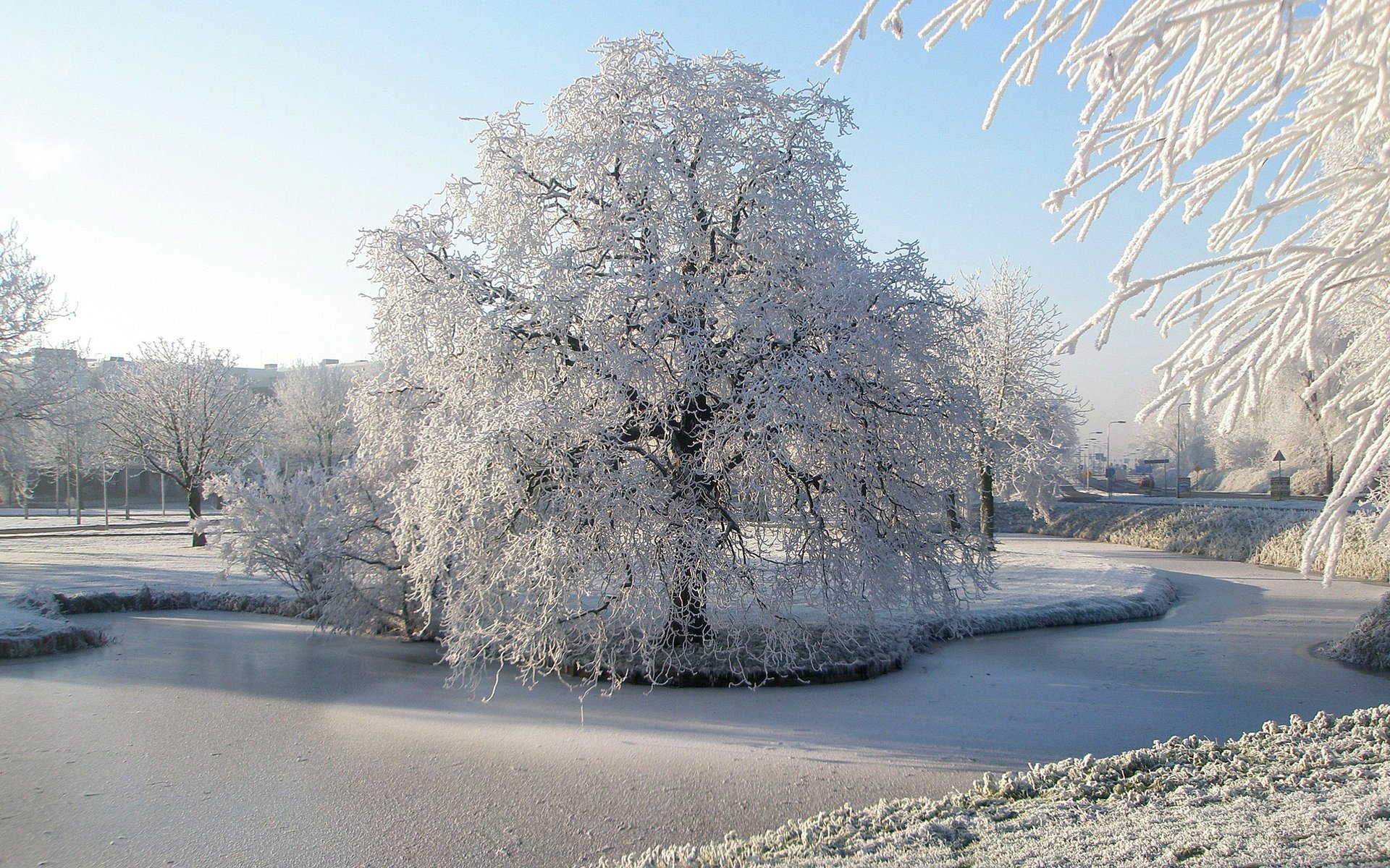 natura szron rzeka drzewa zima park śnieg