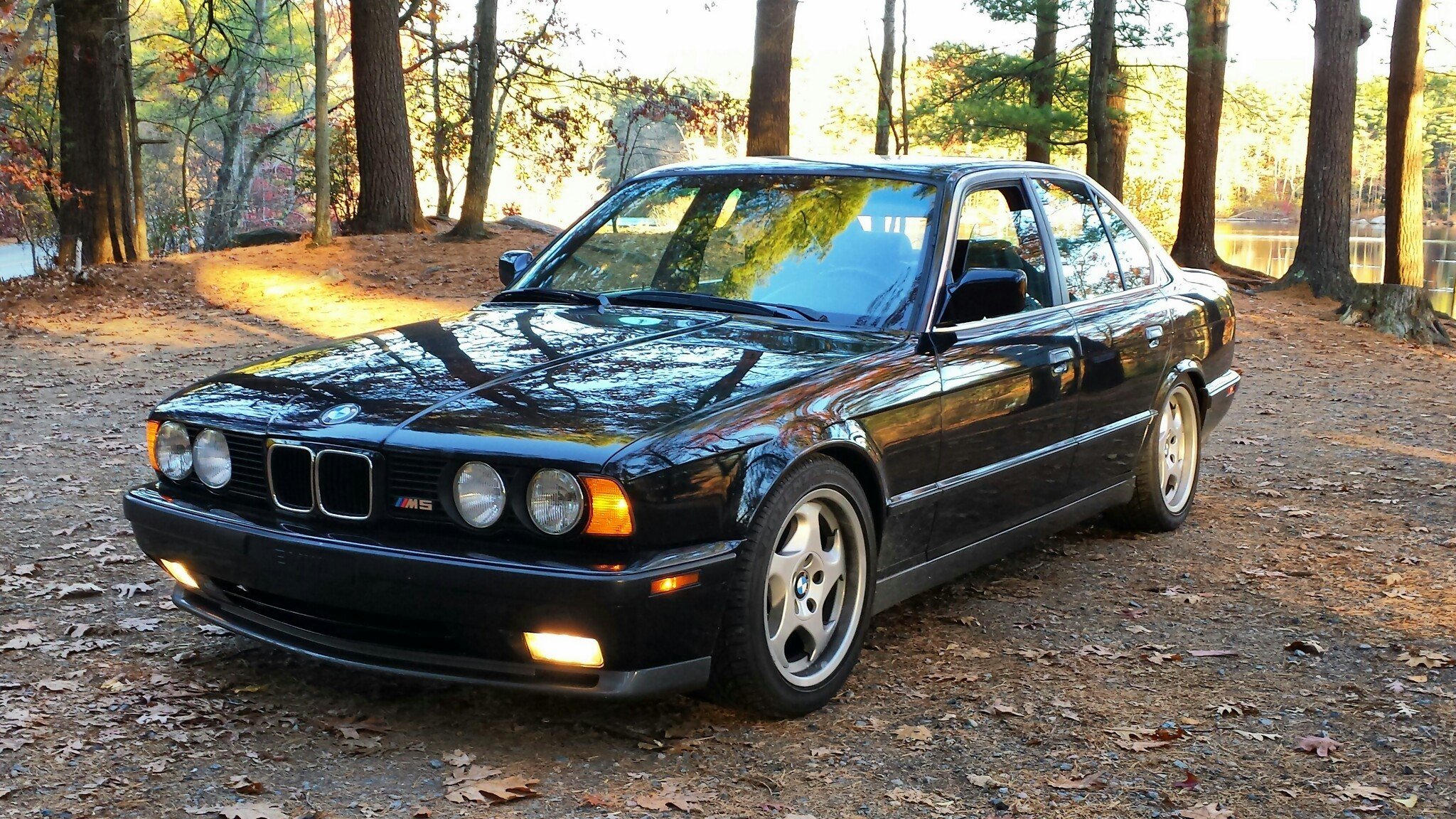 bmw e34 m5 classic bmw nature