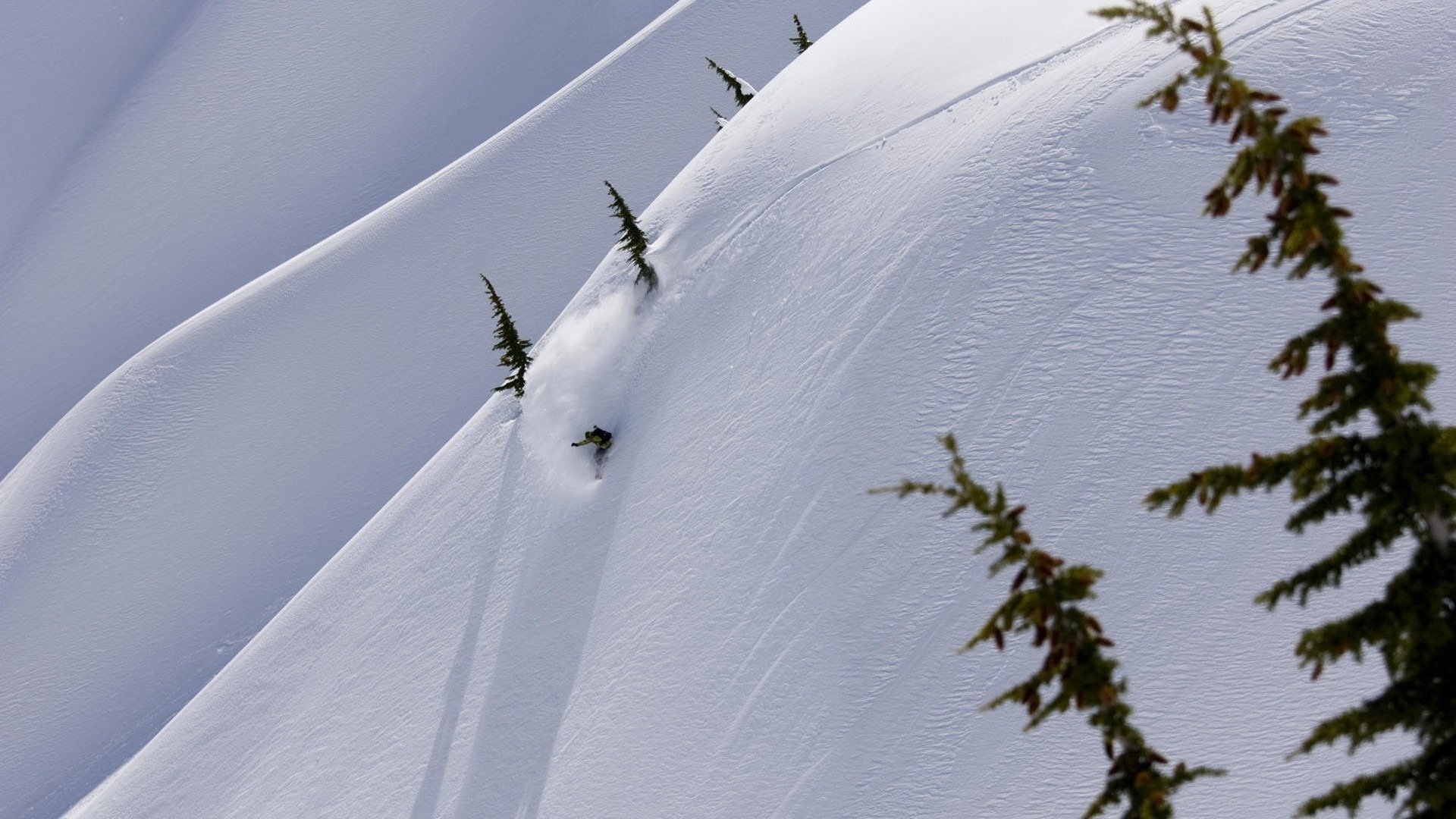 montaña velocidad adrenalina descenso snowboarder invierno nieve árboles de navidad snowboard